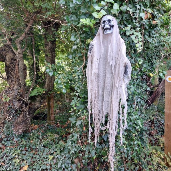 Braishfield Ghost